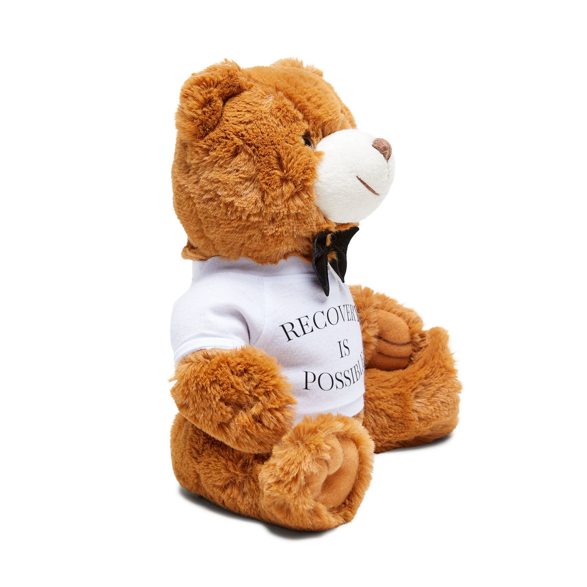 Recovery Is Possible Teddy Bear - Inspirational Plush with T-Shirt