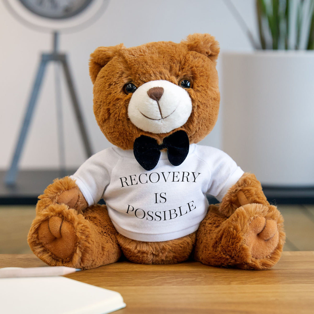 Recovery Is Possible Teddy Bear - Inspirational Plush with T-Shirt